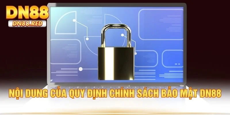 Nội dung của quy định chính sách bảo mật dn88